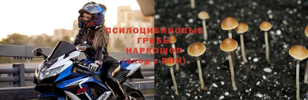 спайс Абинск
