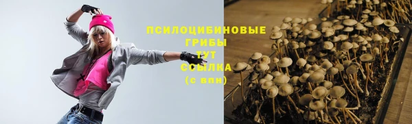 твердый Абаза