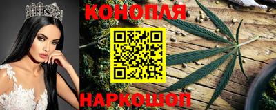 ешки Вязьма